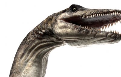 Plesiosaurus蛇颈龙