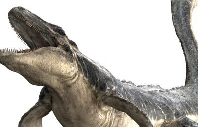 Mosa莫萨龙,沧龙