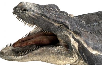 Mosa莫萨龙,沧龙