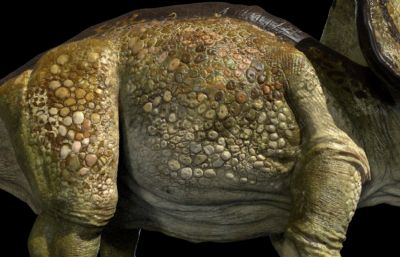 protoceratops原角龙