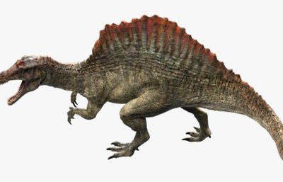 Spinosaurus棘龙,剑龙