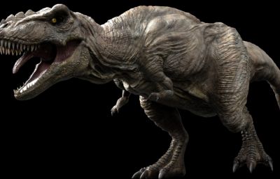 Tyrannosaurus Rex霸王龙