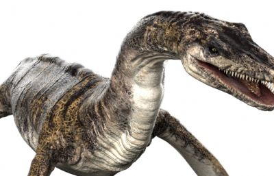 Plesiosaurus蛇颈龙