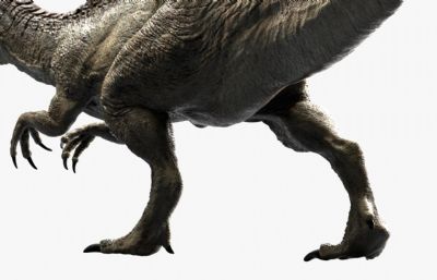 Spinosaurus棘龙,剑龙