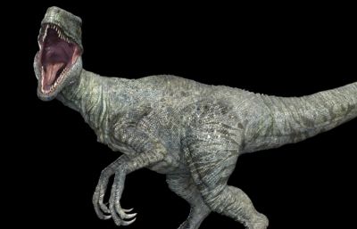 raptor迅猛龙