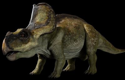 protoceratops原角龙