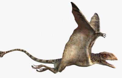 Peteinosaurus翼龙