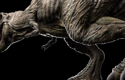 Tyrannosaurus Rex霸王龙