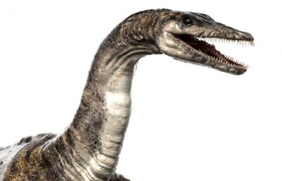 Plesiosaurus蛇颈龙