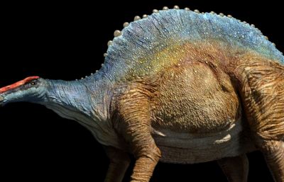 Ouranosaurus豪勇龙