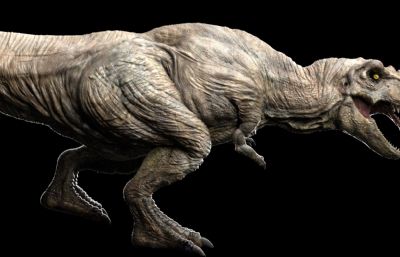 Tyrannosaurus Rex霸王龙