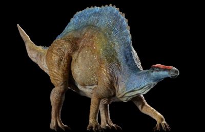 Ouranosaurus豪勇龙