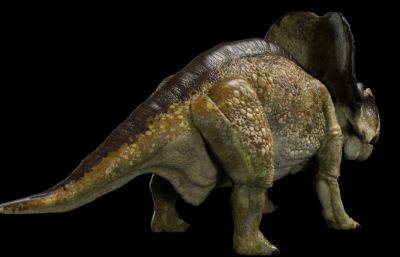 protoceratops原角龙