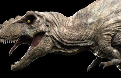 Tyrannosaurus Rex霸王龙