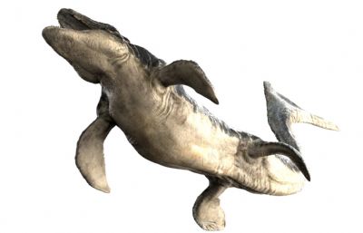 Mosa莫萨龙,沧龙