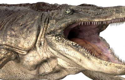 Tylosaurus沧龙,海王龙