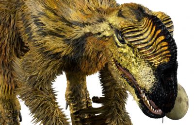 Oviraptor窃蛋龙,盗龙