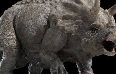 triceratops三角龙