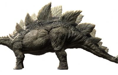 stegosaurus剑龙