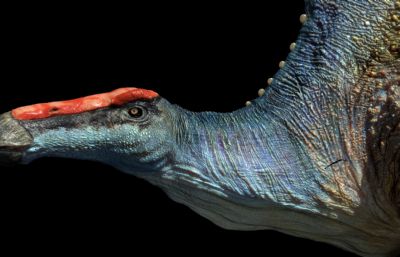 Ouranosaurus豪勇龙