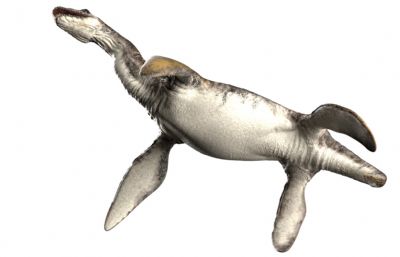 Plesiosaurus蛇颈龙
