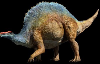 Ouranosaurus豪勇龙