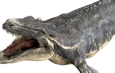 Mosa莫萨龙,沧龙