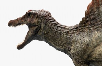 Spinosaurus棘龙,剑龙