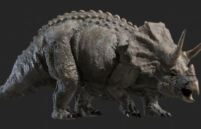 triceratops三角龙