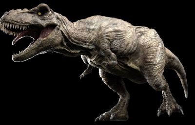 Tyrannosaurus Rex霸王龙