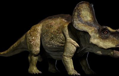protoceratops原角龙