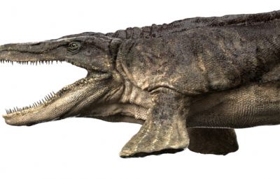 Tylosaurus沧龙,海王龙