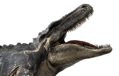 Mosa莫萨龙,沧龙