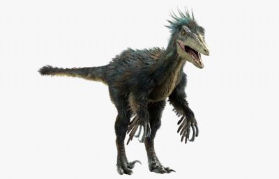 Troodon伤齿龙