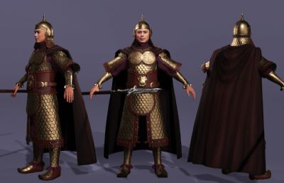 《说岳全传》精忠报国岳飞岳武穆 岳王爷(网盘下载)