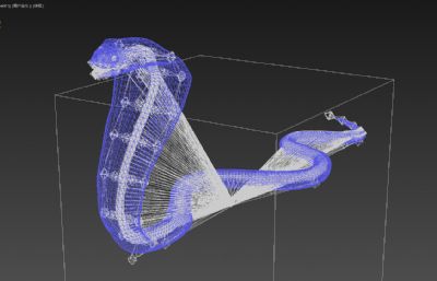 写实眼镜王蛇,有绑定,有动画