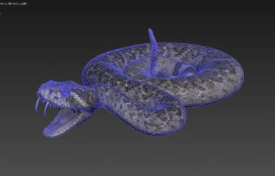 写实西部菱形响尾蛇，有绑定/动画