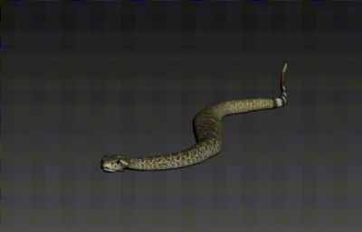 写实西部菱形响尾蛇，有绑定/动画