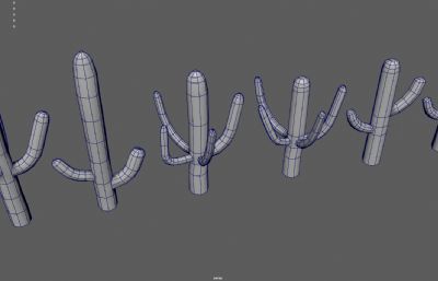 仙人掌 巨人柱 沙漠戈壁植物