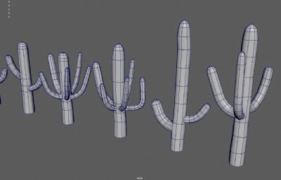 仙人掌 巨人柱 沙漠戈壁植物