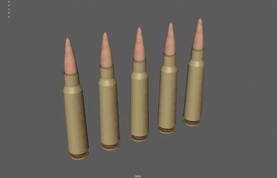 子弹 步枪子弹 子弹头