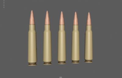 子弹 步枪子弹 子弹头