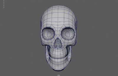 人类头骨 骷髅头 头骨化石