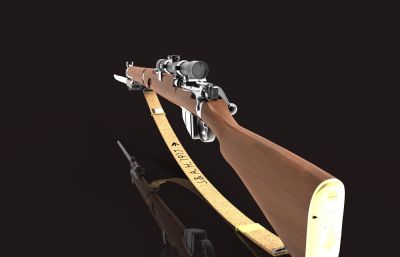 李恩菲尔德步枪Lee-Enfield Series Rifles