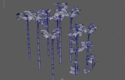 竹子 竹林 景观竹