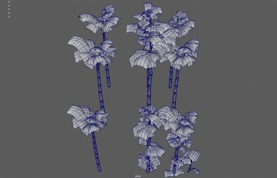 竹子 竹林 景观竹