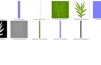 竹子 竹林 景观竹