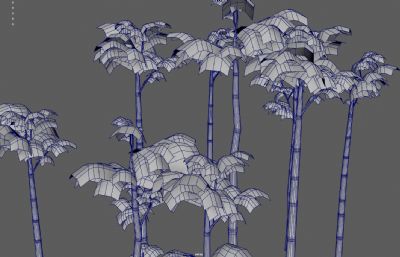 竹子 竹林 景观竹