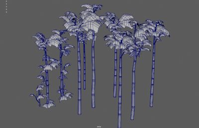 竹子 竹林 景观竹