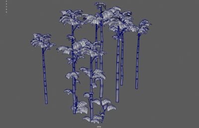 竹子 竹林 景观竹